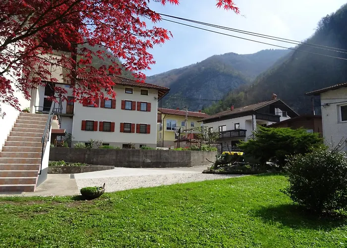 Josephine تولمين